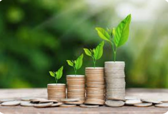 Every village  in Uganda  needs a SACCO